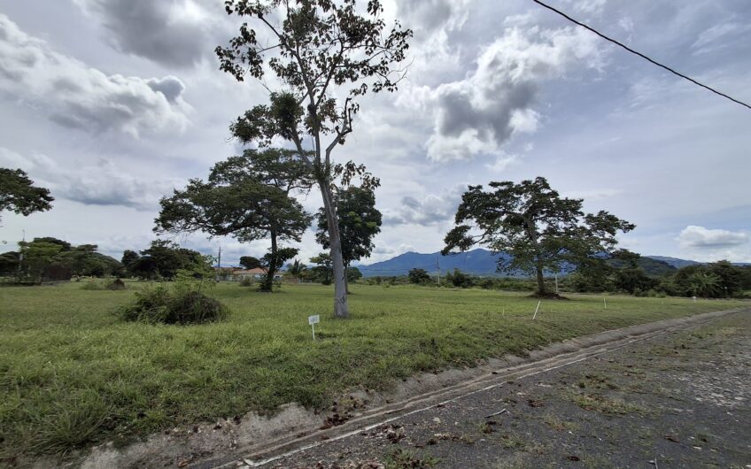 Se vende Lote en Chame PH La Colonia