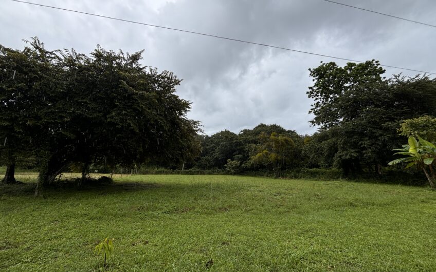 Se vende Lote en Río Hato Valle de Toscana